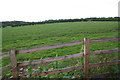 Field west of Wedholmehill Farm