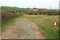 Christmas tree farm by Reevacre Cross