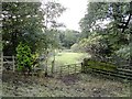 Field path south of East Farm