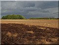 Ploughed field with a view to Cottam Power Station