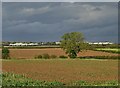 View to Rampton Secure Hospital from Dolegate Road