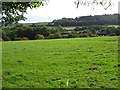 Farmland above Wigmore