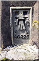 NY2149 : Benchmark on Dundraw trig point beside B5302 by Roger Templeman