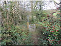 Llwybr ger Clynmelyn / Path near Clynmelyn