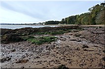 NH7358 : Rosemarkie Bay foreshore by jeff collins