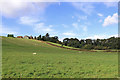 Pasture south-east of Pattingham in Staffordshire