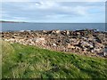 NO6107 : Rocky shoreline at West Ness by Oliver Dixon