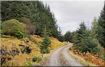 NN1303 : Forest road in Succoth Glen by Trevor Littlewood