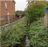 SO4382 : Brook flowing towards Market Street, Craven Arms by Jaggery