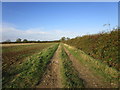 Track to Pasture Farm