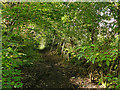 White Close Lane, Denby Dale