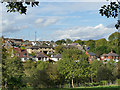 Housing on Thorpes Avenue, Denby Dale