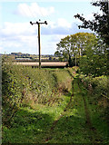 SO8297 : Farm Track near The Clive in Staffordshire by Roger  D Kidd