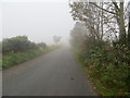 NJ7415 : Bogbeth Road disappearing into October mist near Leschangie by Peter Wood
