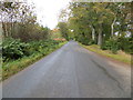 Road beside Greenbogs Wood