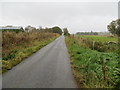 Minor road heading towards Roselea Cottage