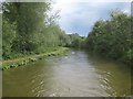 Oxford Canal: Reach near Adderbury