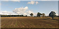 Ploughed field west of Pheasantry Wood