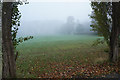 Early morning fog at Sutton Bonington