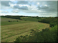 Fields alongside the River Don