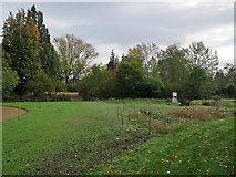 TL4557 : Cambridge University Botanic Garden: where a record was set by John Sutton