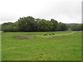 TQ3552 : Path through a field, near Godstone by Malc McDonald
