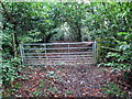 Llwybr ger Cilarddu / Path near Cilarddu