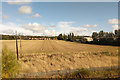 Field north of Longshank Lane