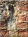 Detail of cliff face