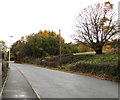 Early November 2018 colours, Pentwyn, Torfaen