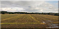 Cross-hatched cultivation near Netherton Park