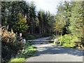 S7037 : Forest Entrance by kevin higgins