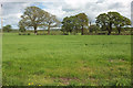 Farmland near Hardington Marsh