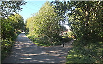 SE1924 : Pyenot Gardens exit, Spen Valley Greenway, Cleckheaton by habiloid