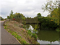 River Nene, Bridge at Billing Mill