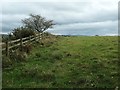 Public bridleway heading west to Bascodyke Head