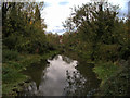 River Great Ouse at Olney