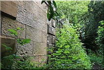 NO3711 : Hill of Tarvit Mansion House gardens by Bill Kasman