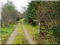 Forest road and footpath rising from A886