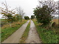 Track leading to Upper Corskie