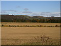 NO2221 : Stubble fields in the Carse of Gowrie by Scott Cormie