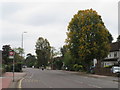 TQ3766 : Beckenham Road, West Wickham by Malc McDonald