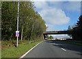 Whettybridge Road bridge over A38