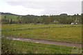 Field, Thirlestane