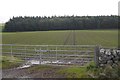 Winter cereals, Primside