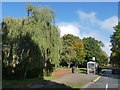 Bus shelter by bridge over Griffin