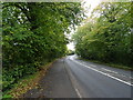 ST3790 : Chepstow Road, Langstone by JThomas