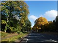 A38 passing Manor Farm Park