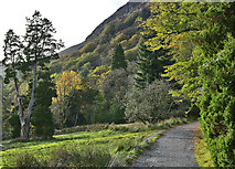 SH7211 : Path through parkland, Dol-y-cae by Nigel Brown