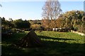 Paddock overlooking Kingsthorpe Meadow Nature Reserve